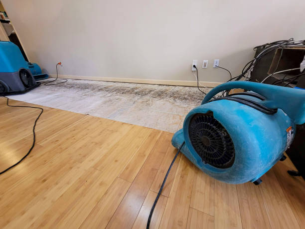 Professional Water Damage Repair technician working in Sheboygan, WI
